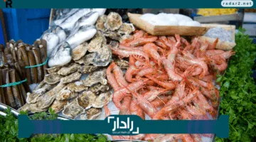 «شاهد الآن» كشف الرعاية الاجتماعية 2025 وتأكد هل اسمك ضمن المشمولين؟